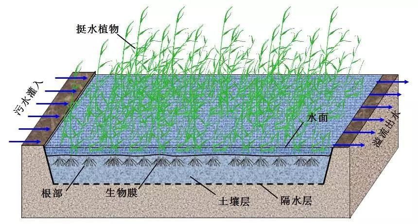 地表漫流處理系統 地表漫流處理系統