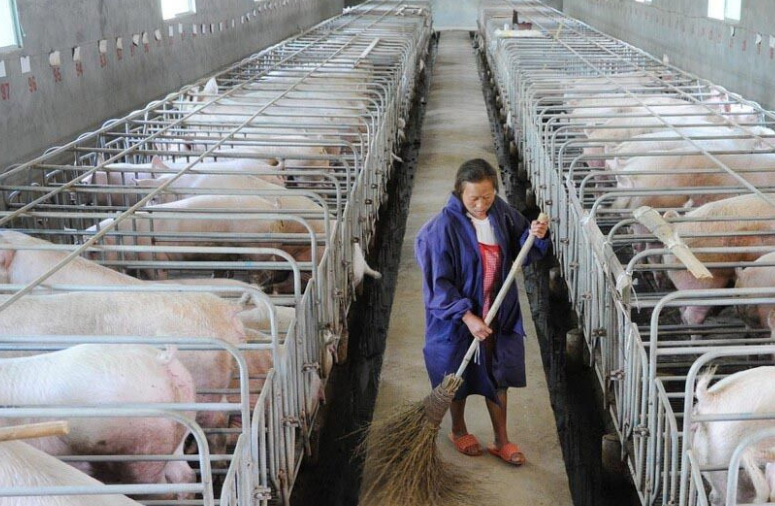 畜牧污水處理設(shè)備哪家好，養(yǎng)殖污水處理設(shè)備哪家好