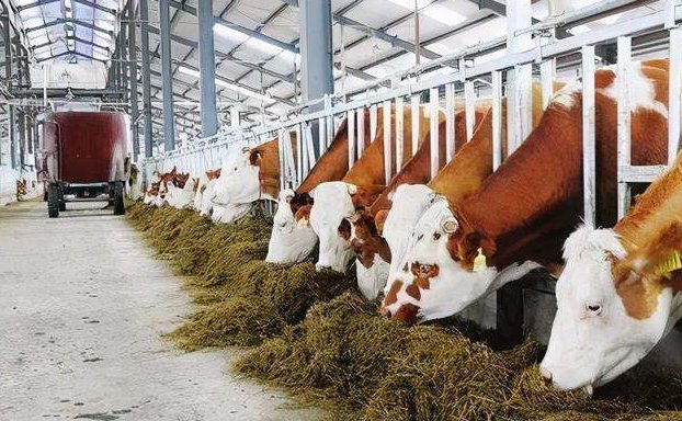 養殖污水處理設備的如何調試才能保障正常運行?02 養殖污水處理設備的如何調試才能保障正常運行?02