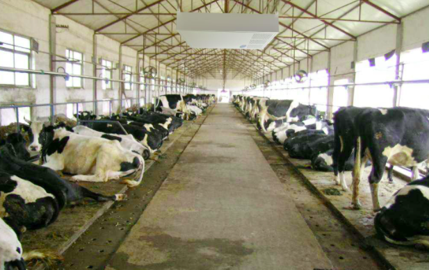 養殖屠宰污水處理設備使用前,要注意這兩點!01 養殖屠宰污水處理設備使用前,要注意這兩點!01