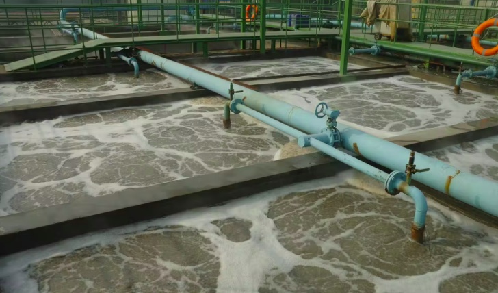 污水處理設(shè)備應(yīng)用 | 生物技術(shù)在高效可持續(xù)水凈化中的重要作用 污水處理設(shè)備應(yīng)用 | 生物技術(shù)在高效可持續(xù)水凈化中的重要作用