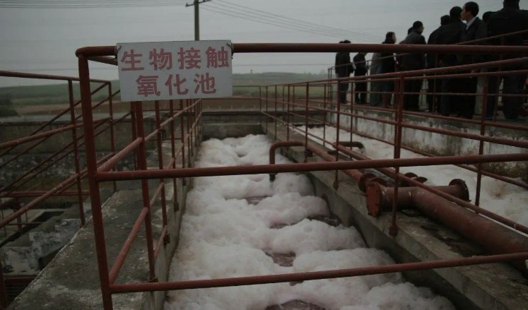生物接觸氧化池的作用是什么？（生物接觸氧化池去除什么）-01