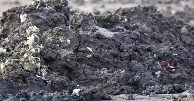 污水處理廠污泥脫水間（污泥脫水車(chē)間工作原理）