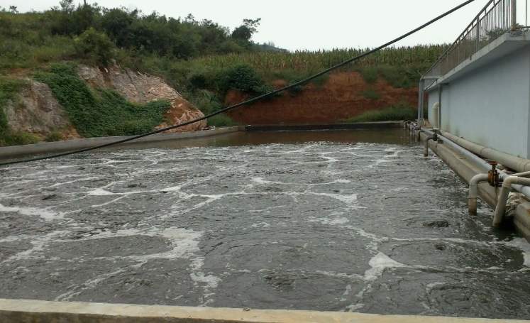 養殖場廢水處理工藝有哪些？（養殖污水便宜處理方法）