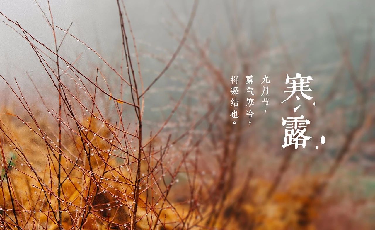 寒露 ▏百花凋，秋意濃，記得添衣哦！